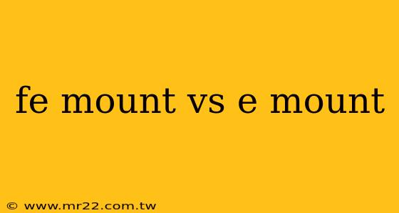 fe mount vs e mount
