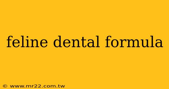 feline dental formula
