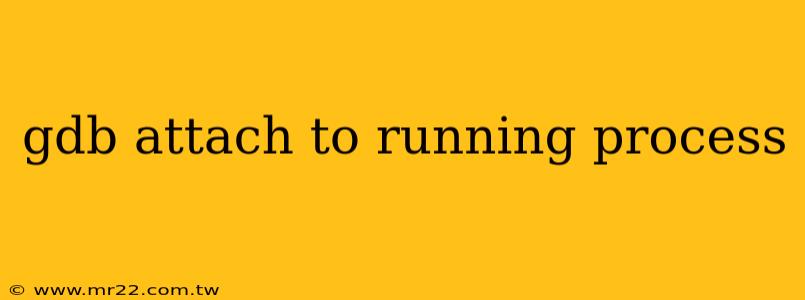 gdb attach to running process