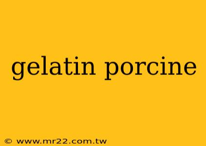 gelatin porcine