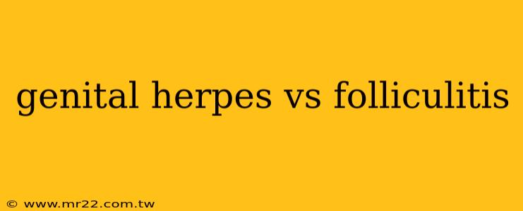genital herpes vs folliculitis