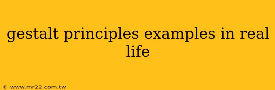 gestalt principles examples in real life