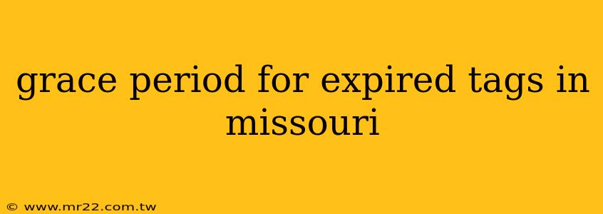 grace period for expired tags in missouri