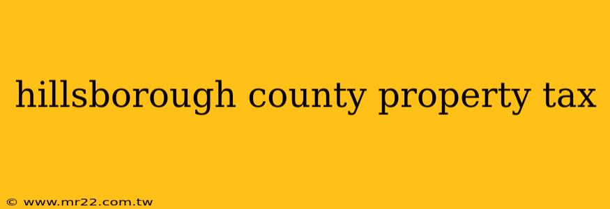 hillsborough county property tax