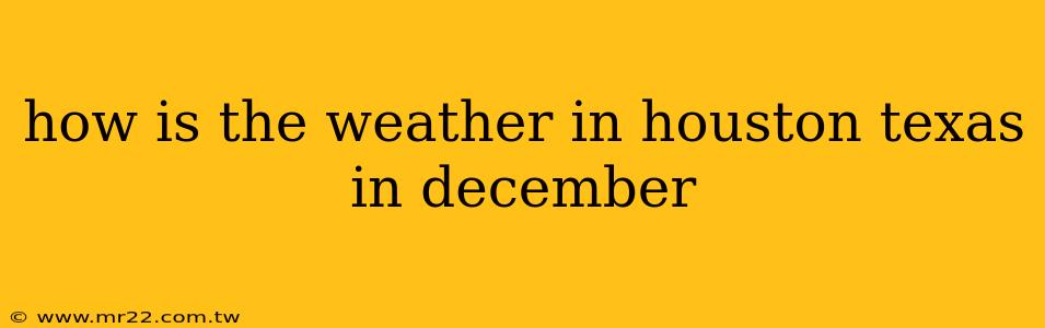 how is the weather in houston texas in december