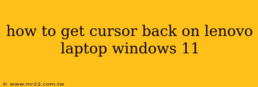 how to get cursor back on lenovo laptop windows 11