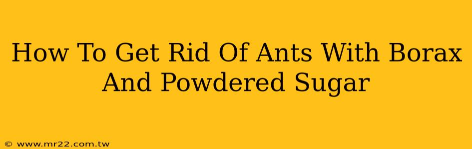 How To Get Rid Of Ants With Borax And Powdered Sugar