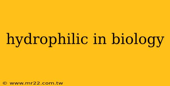 hydrophilic in biology