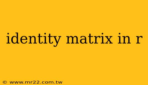 identity matrix in r
