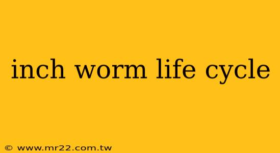 inch worm life cycle