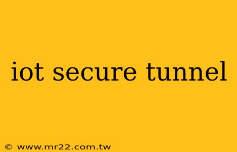 iot secure tunnel