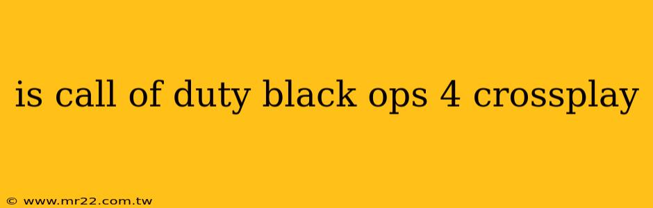 is call of duty black ops 4 crossplay