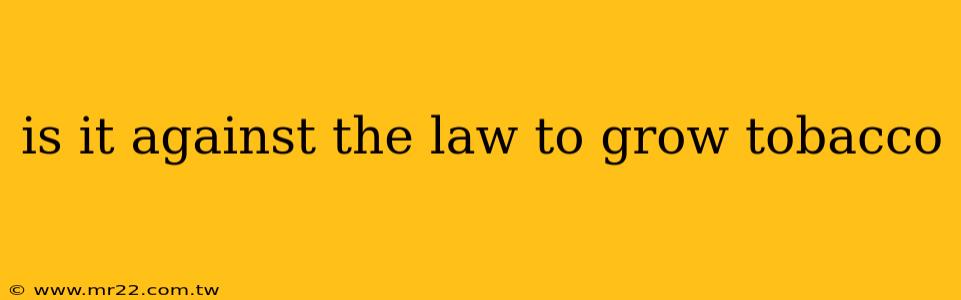 is it against the law to grow tobacco
