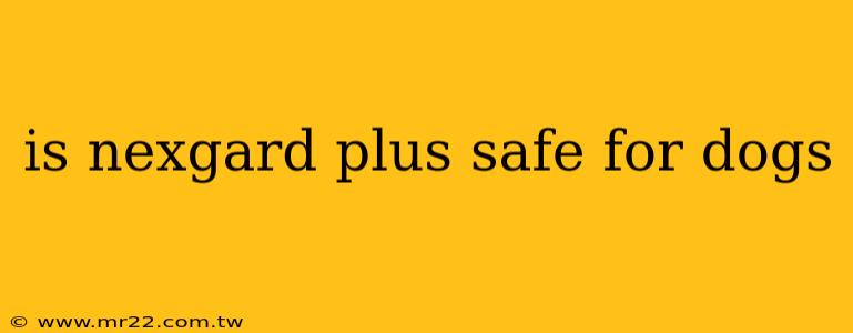 is nexgard plus safe for dogs