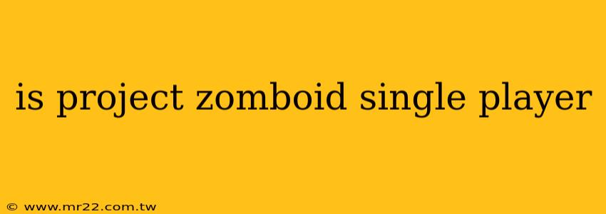 is project zomboid single player