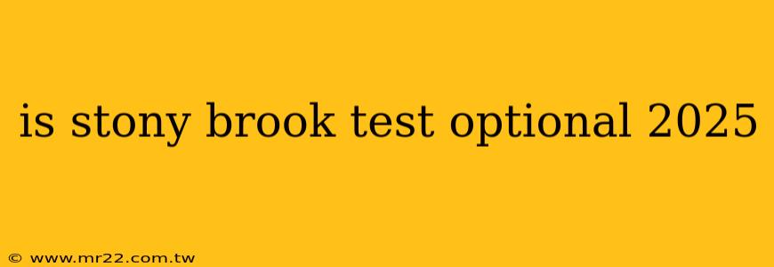 is stony brook test optional 2025