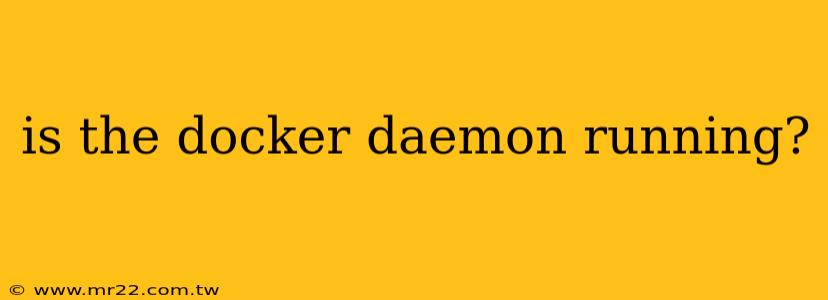 is the docker daemon running?