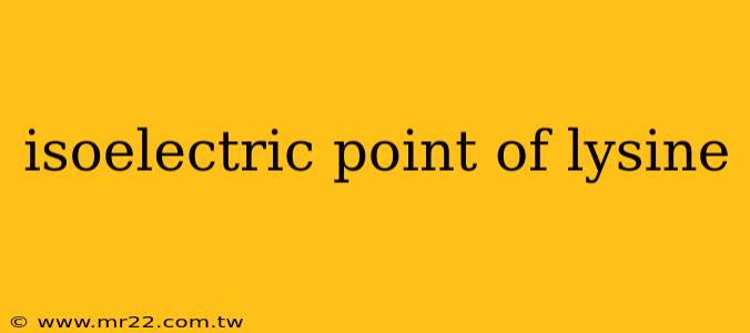 isoelectric point of lysine