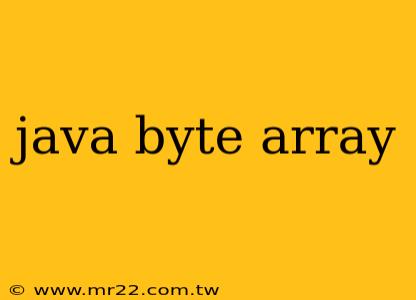 java byte array