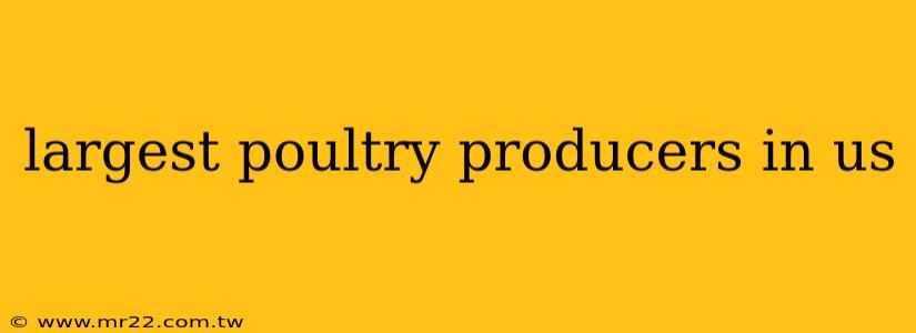 largest poultry producers in us