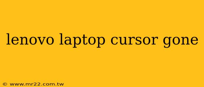 lenovo laptop cursor gone