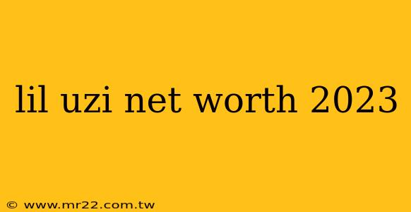lil uzi net worth 2023