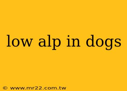 low alp in dogs