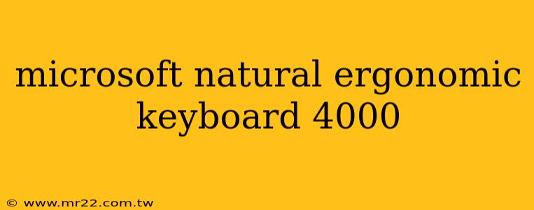 microsoft natural ergonomic keyboard 4000