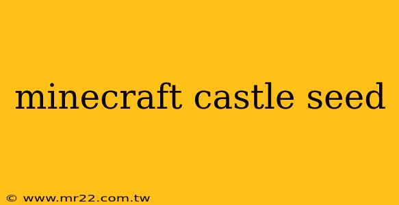 minecraft castle seed