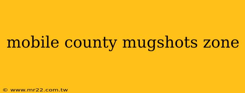 mobile county mugshots zone