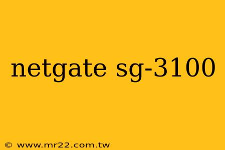 netgate sg-3100