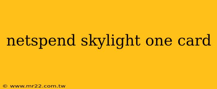 netspend skylight one card