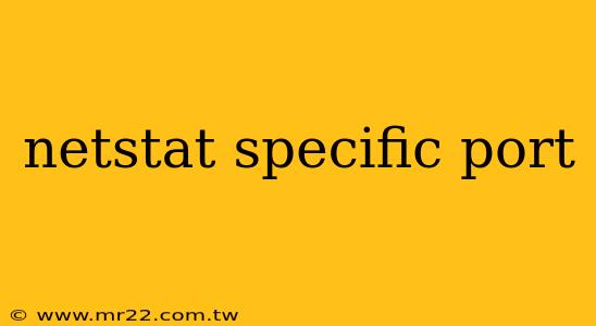 netstat specific port