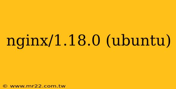 nginx/1.18.0 (ubuntu)