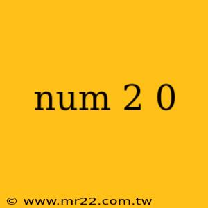 num 2 0