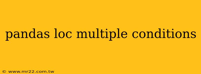 pandas loc multiple conditions