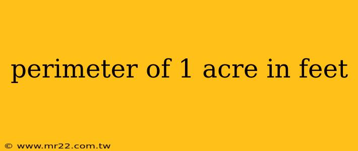 perimeter of 1 acre in feet