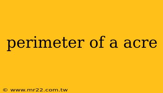 perimeter of a acre