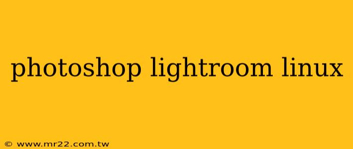 photoshop lightroom linux