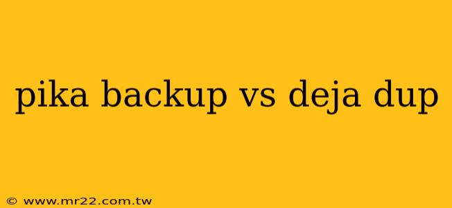pika backup vs deja dup