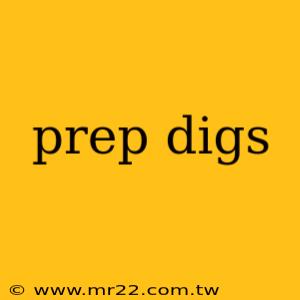 prep digs