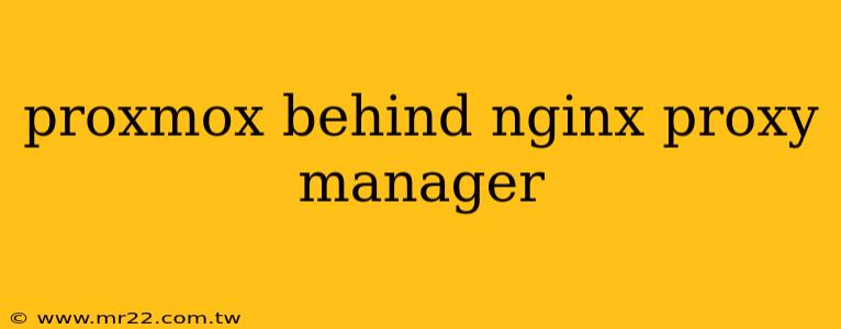 proxmox behind nginx proxy manager