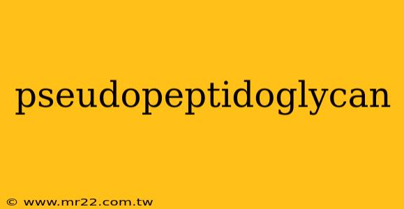 pseudopeptidoglycan