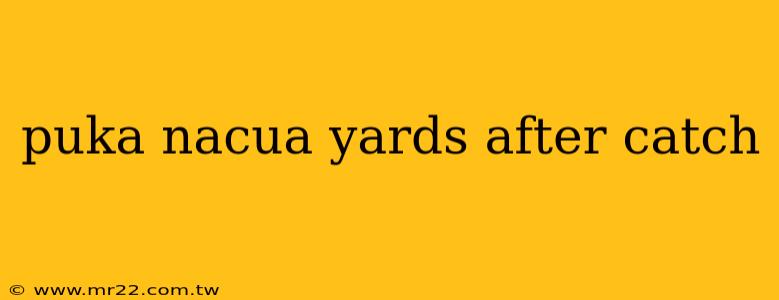puka nacua yards after catch