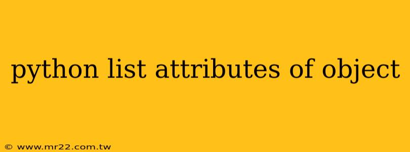 python list attributes of object