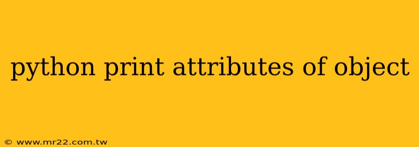 python print attributes of object