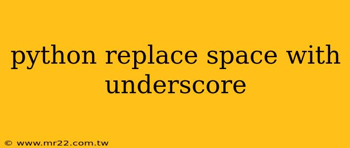 python replace space with underscore