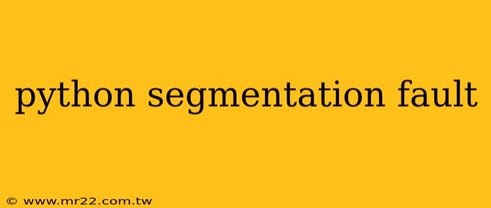 python segmentation fault