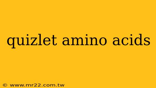 quizlet amino acids