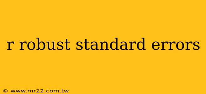 r robust standard errors